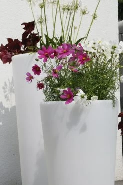 Shining Pot "Classic" - Leuchte (LED), L