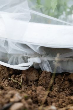 Insektenschutz-Tasche "Staude", 6 Stück