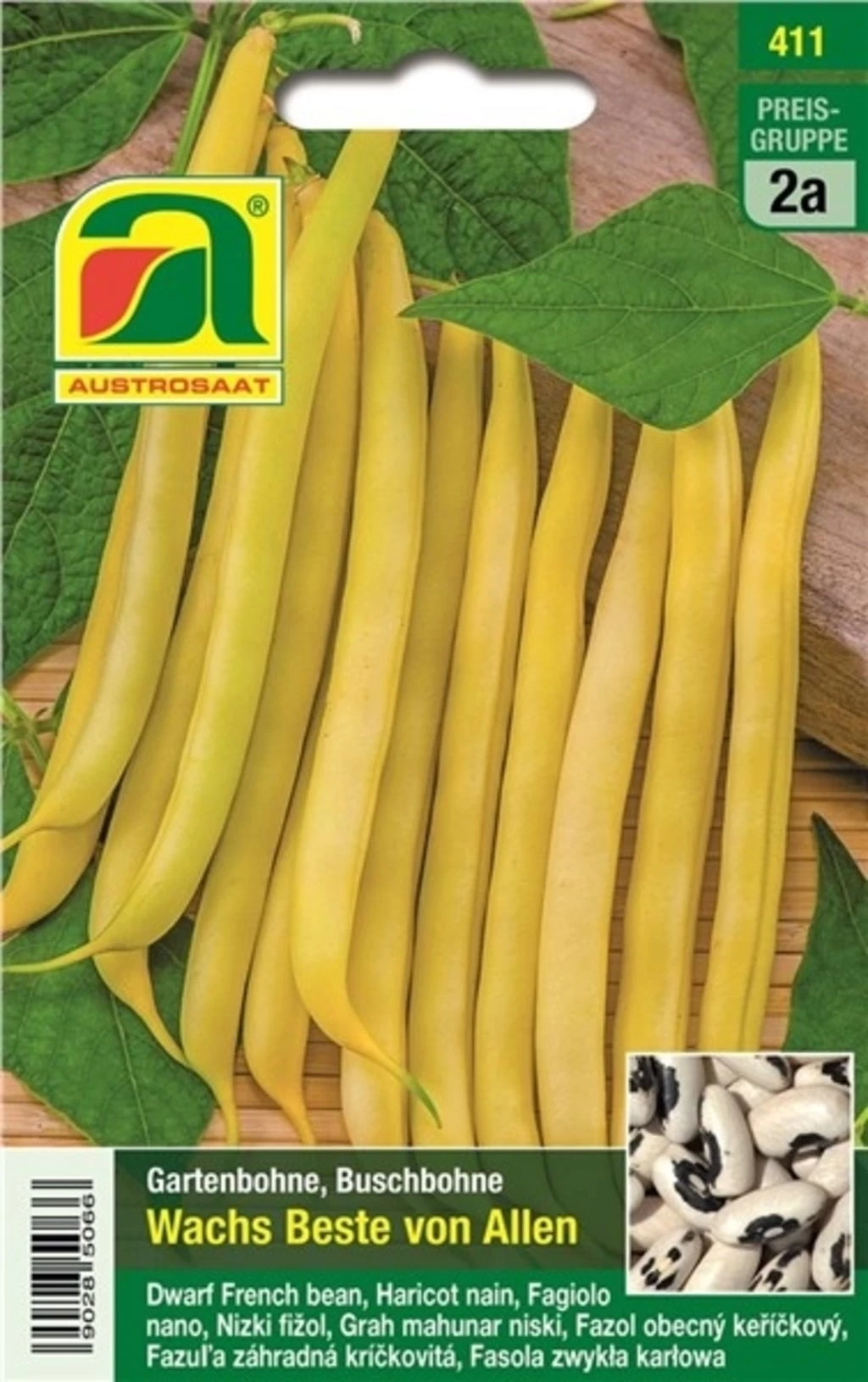 Buschbohne "Wachs Beste Von Allen" â Bild 2