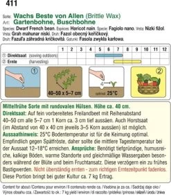 Buschbohne "Wachs Beste Von Allen"