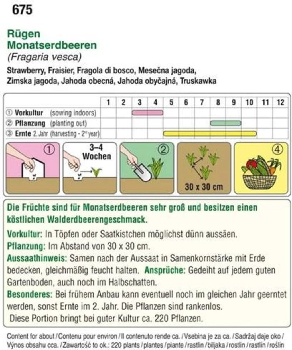 Monatserdbeeren "Rügen"