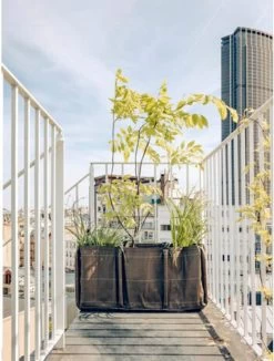 Pflanztasche Baclong "Classic" - Geotextile, 110 L