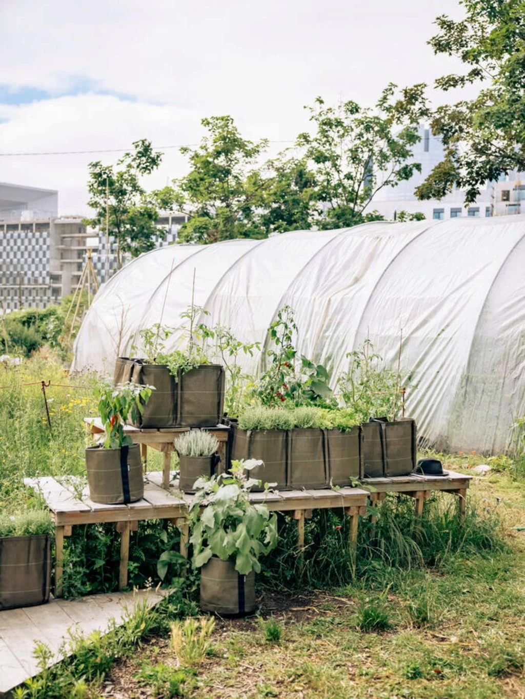 Pflanztasche "Classic" - Geotextil, 10 L – Bild 4