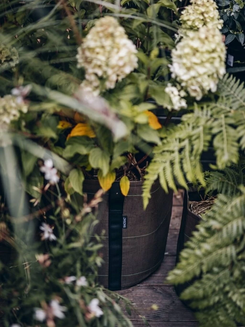 Pflanztasche "Classic" - Geotextil, 10 L – Bild 7