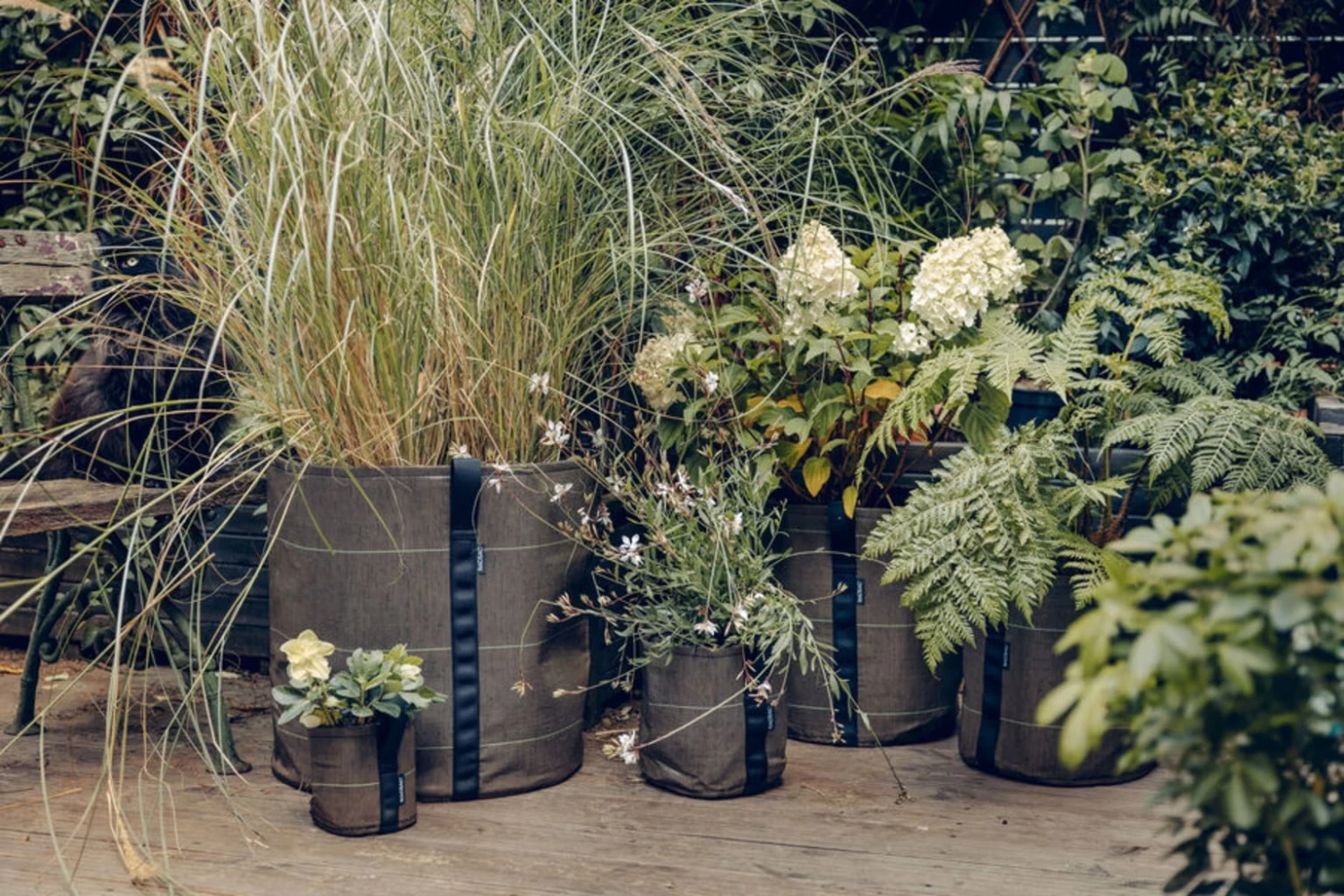 Pflanztasche "Classic" - Geotextil, 10 L – Bild 2