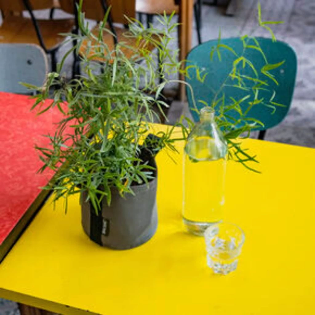 Pflanztasche "Colour" - 10 Liter, Ingwer – Bild 5