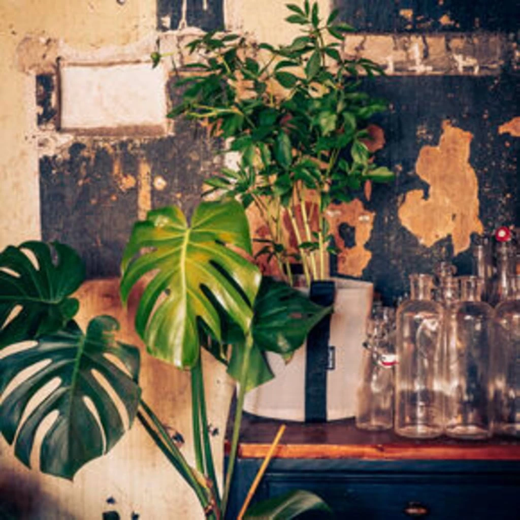 Pflanztasche "Colour" - 10 Liter, Ingwer – Bild 3