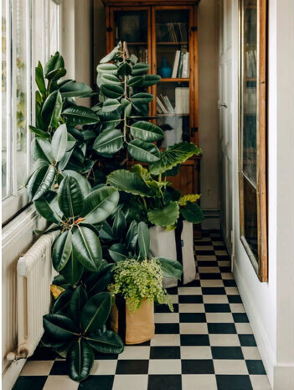 Pflanztasche "Colour" - 10 Liter, Ingwer – Bild 4