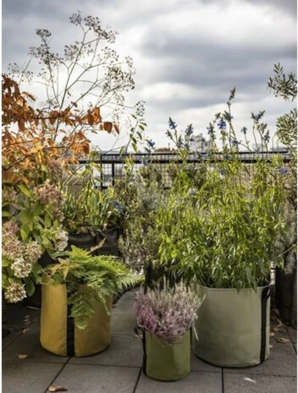 Pflanztasche "Colour" - 25 Liter, Limette – Bild 4