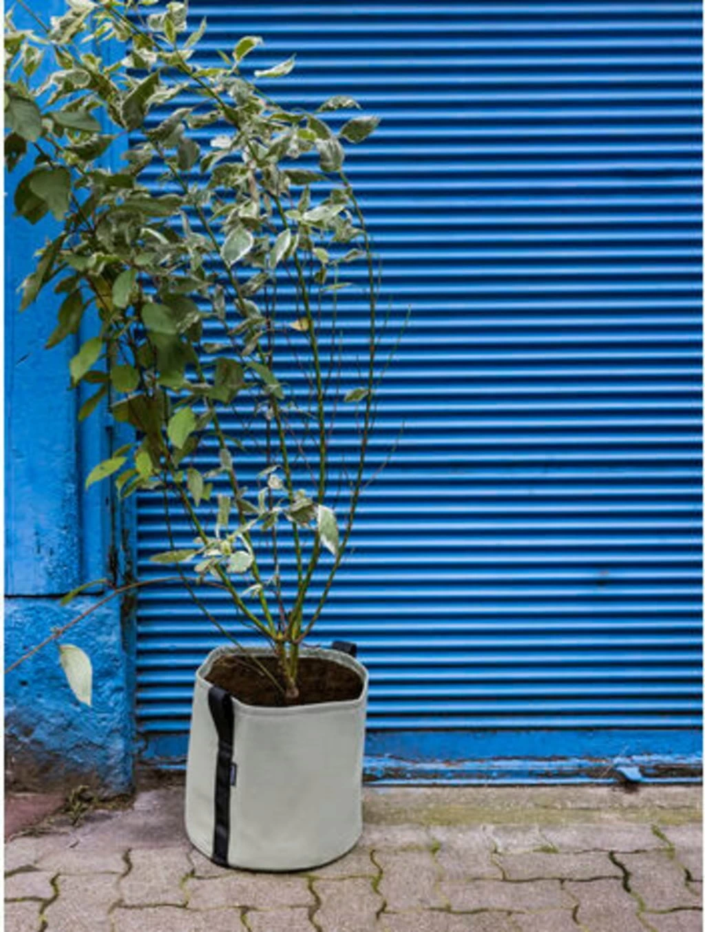 Pflanztasche "Colour" - 25 Liter, Limette – Bild 6