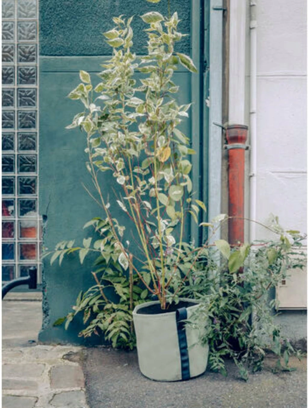 Pflanztasche "Colour" - 25 Liter, Limette – Bild 5