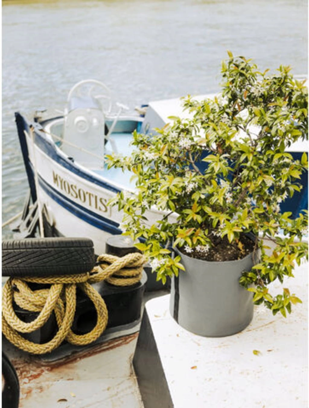 Pflanztasche "Colour" - 50 Liter, Limette – Bild 2