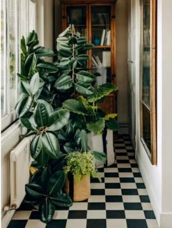 Pflanztasche "Colour" - 50 Liter, Limette