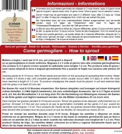 Bio Keimsprossen "Hartweizen", 80 G