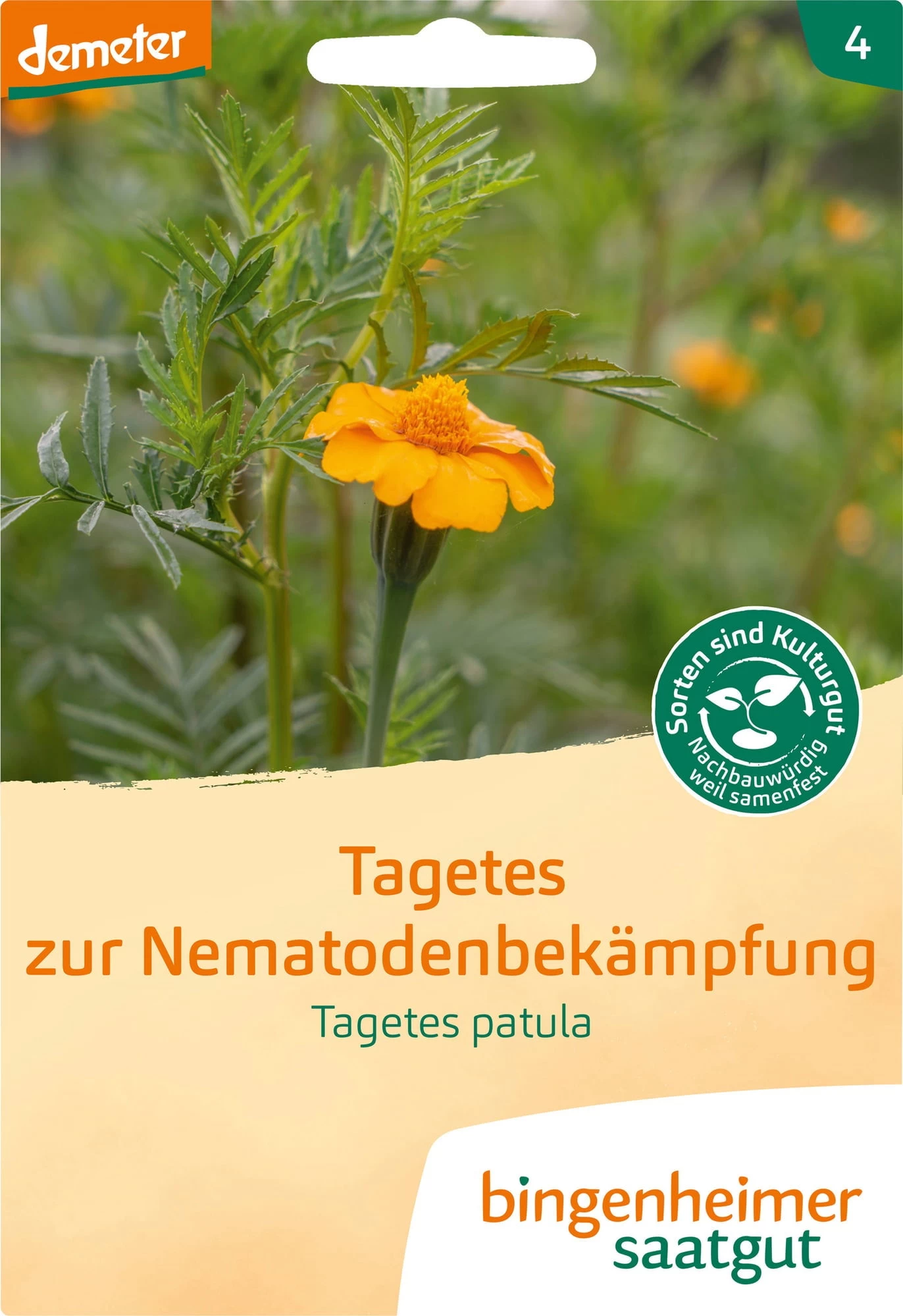 Tagetes Zur Nematodenbekämpfung – Bild 2