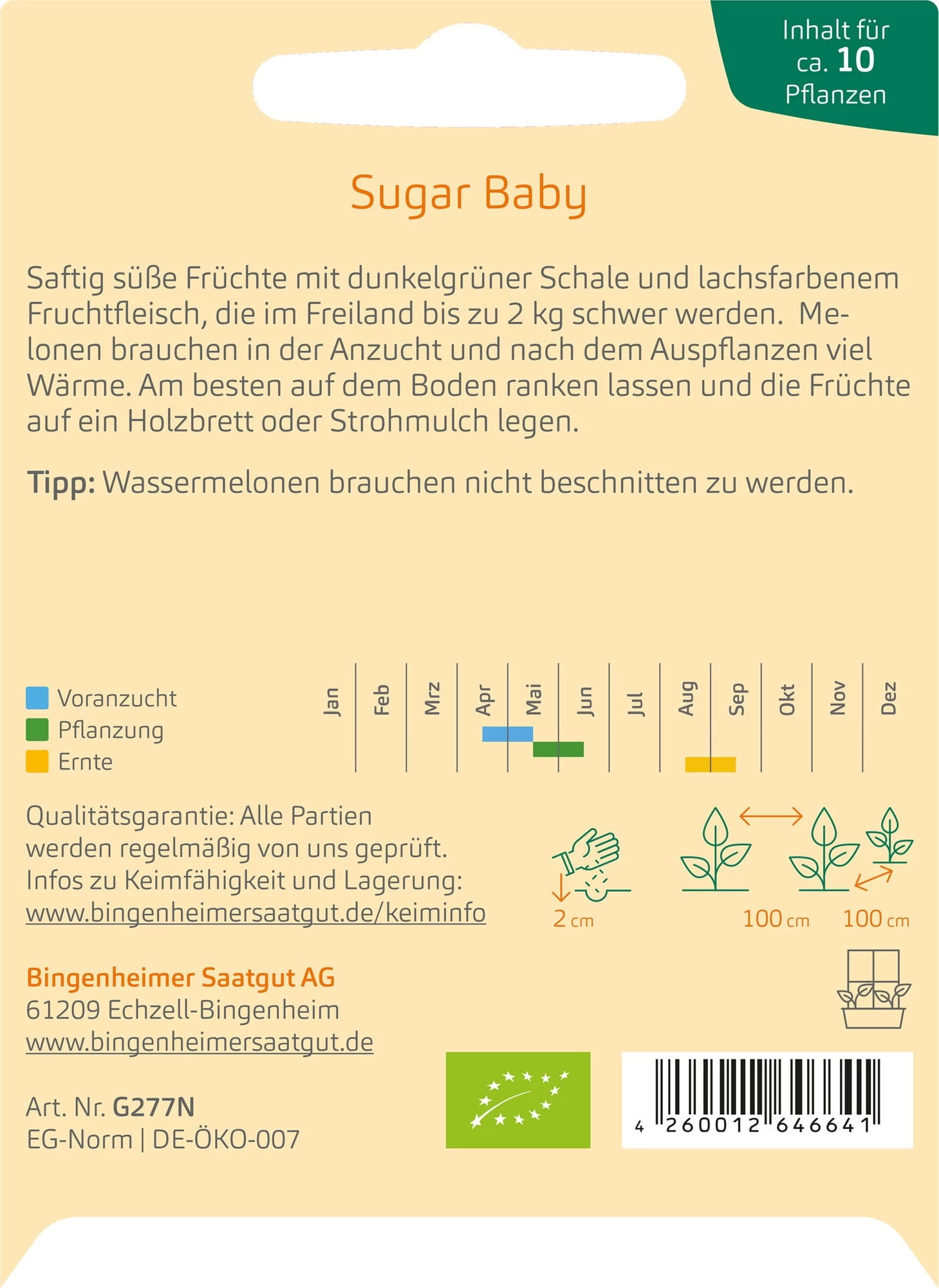 Wassermelone "Sugar Baby" â Bild 2