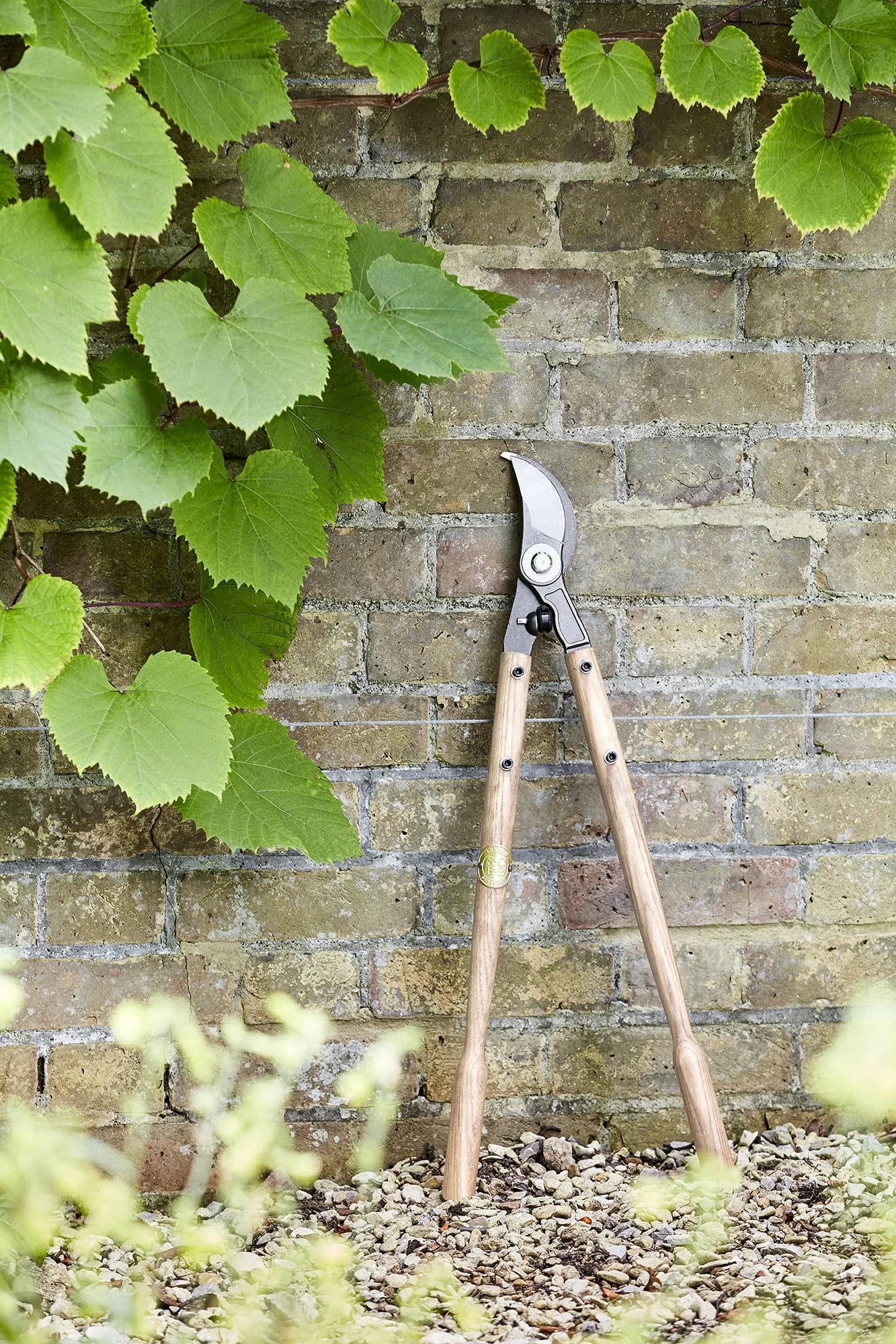 Baumschere – Bild 3