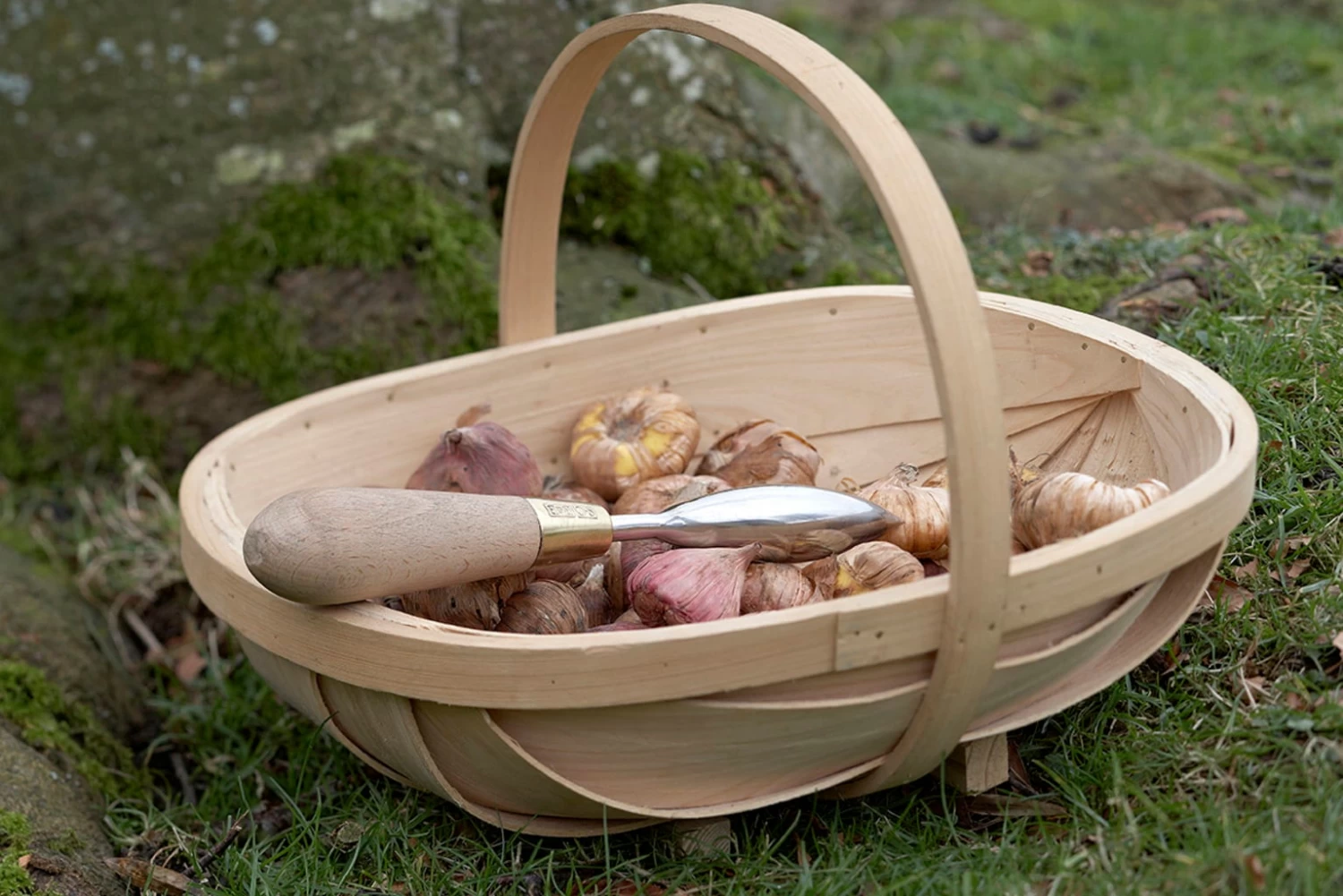 Pflanzhilfe Von Sophie Conran – Bild 4