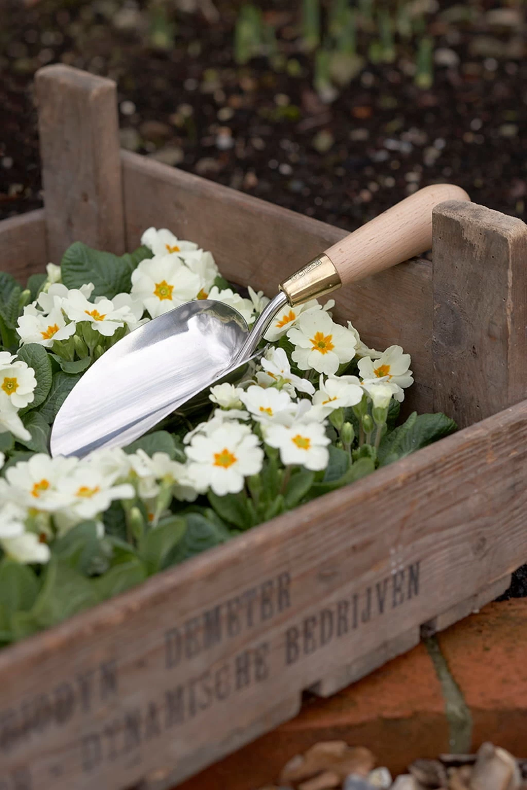 Pflanzschaufel - Sophie Conran – Bild 6