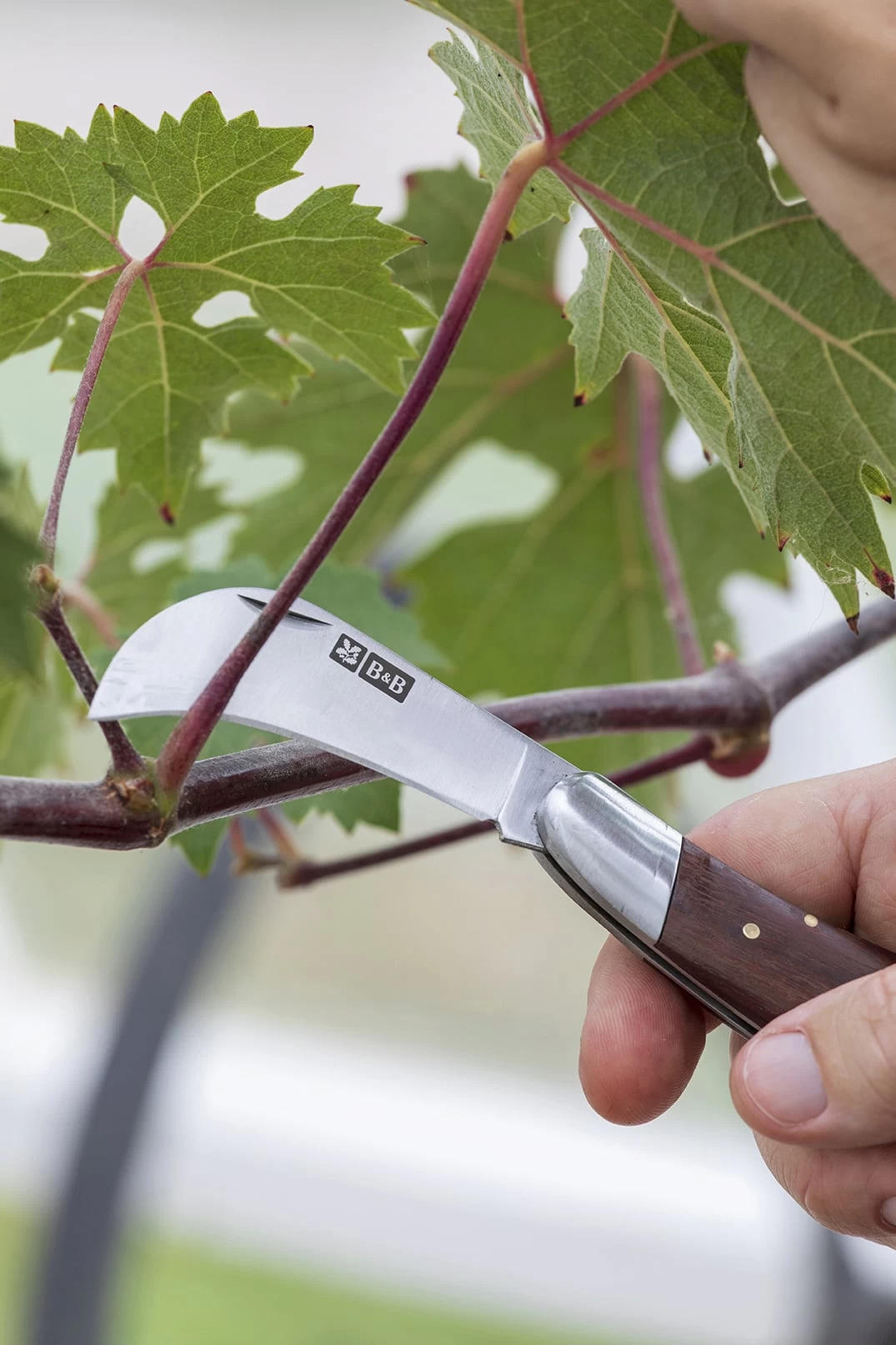 Taschenmesser â Bild 2