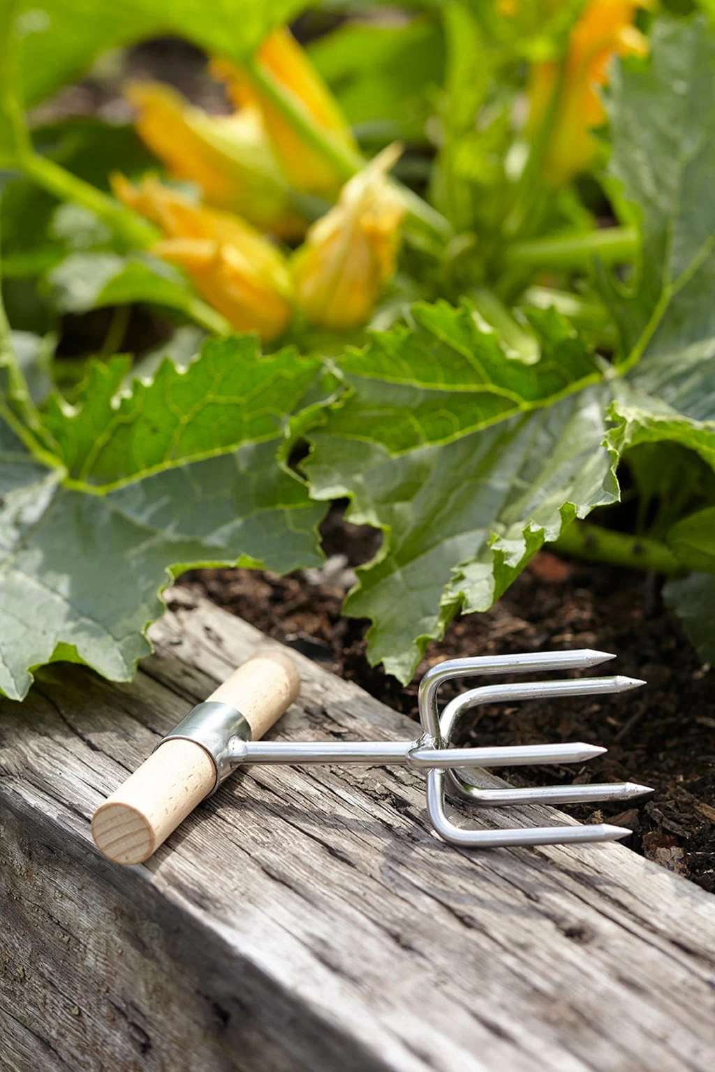 Twist Kultivator Von Sophie Conran – Bild 3