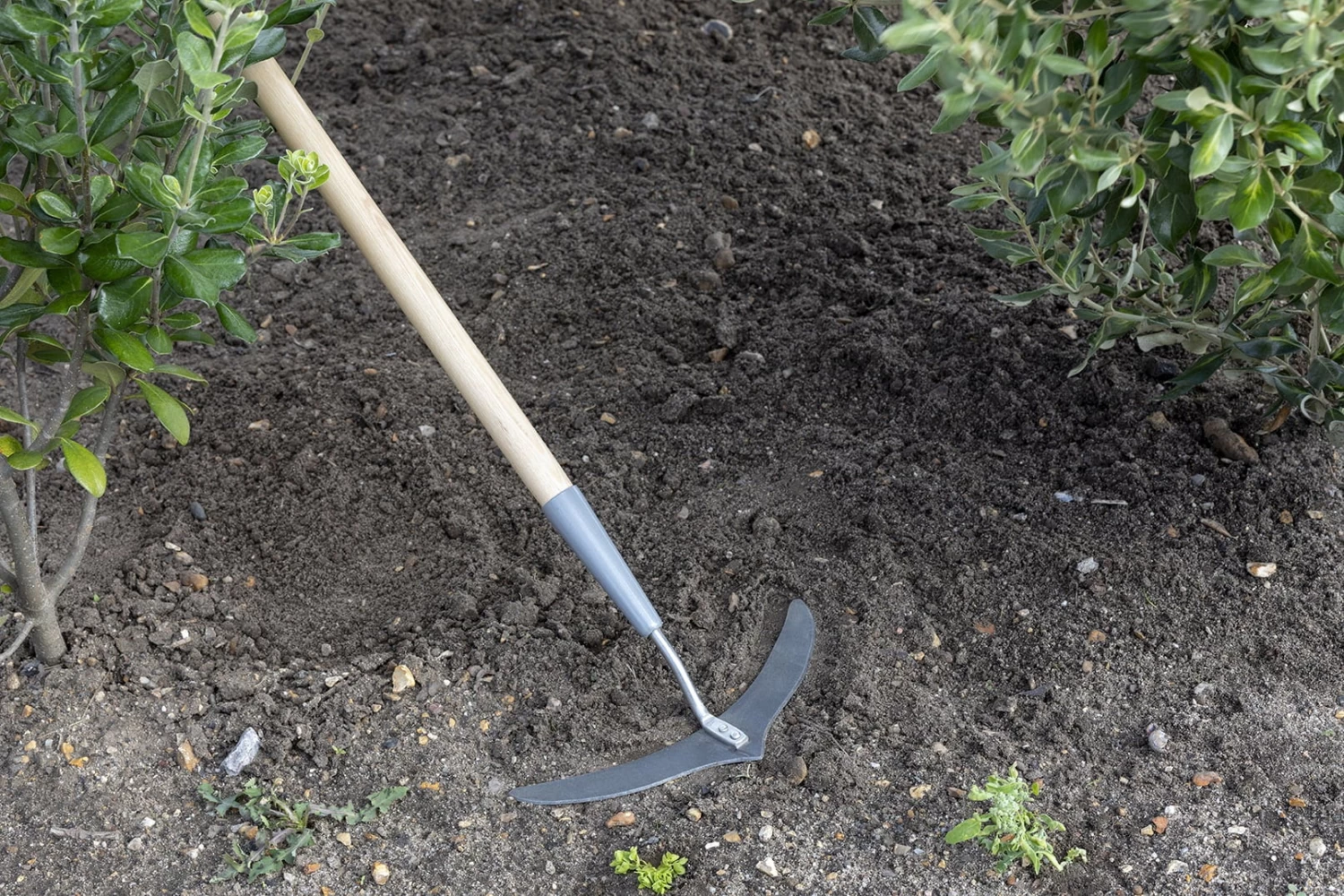 Unkraut Harke "Super Slice" – Bild 3