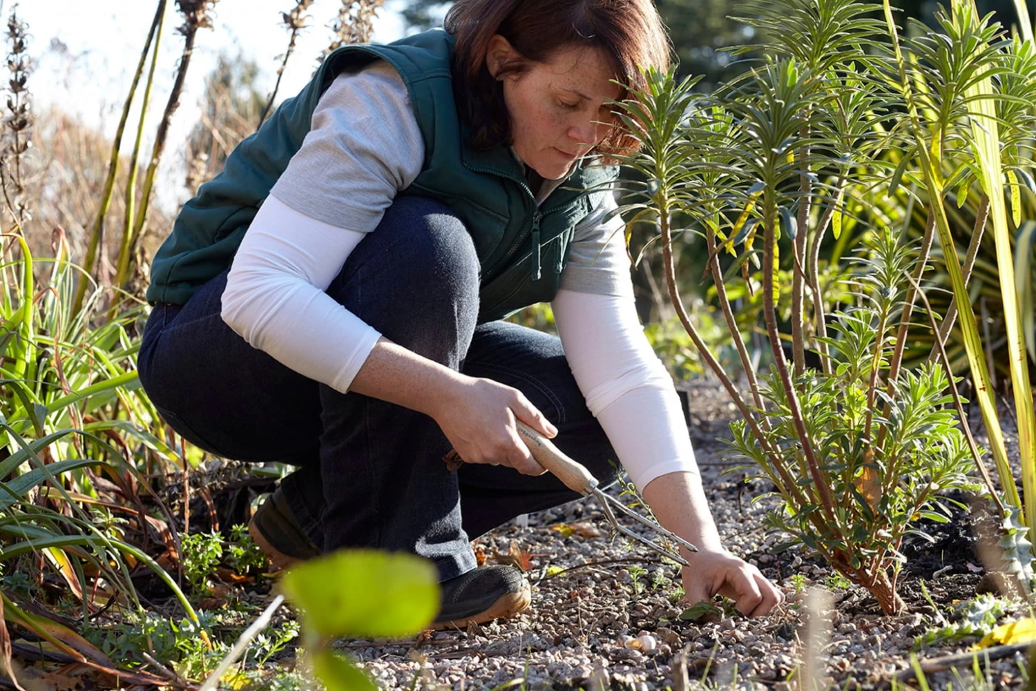 Unkrautgabel â Bild 2