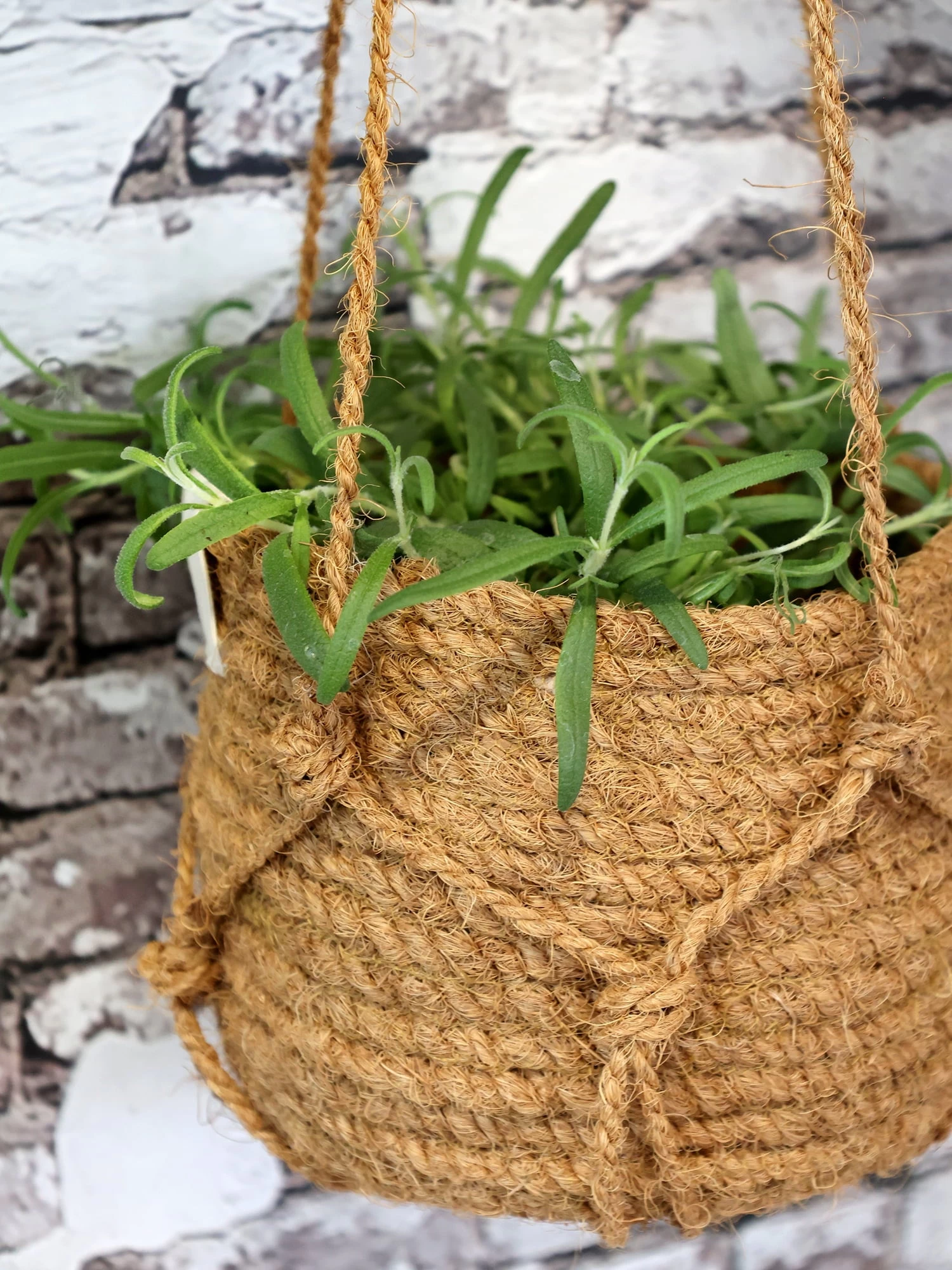 Blumenampel Korb Natur, H14/D18 Cm – Bild 5