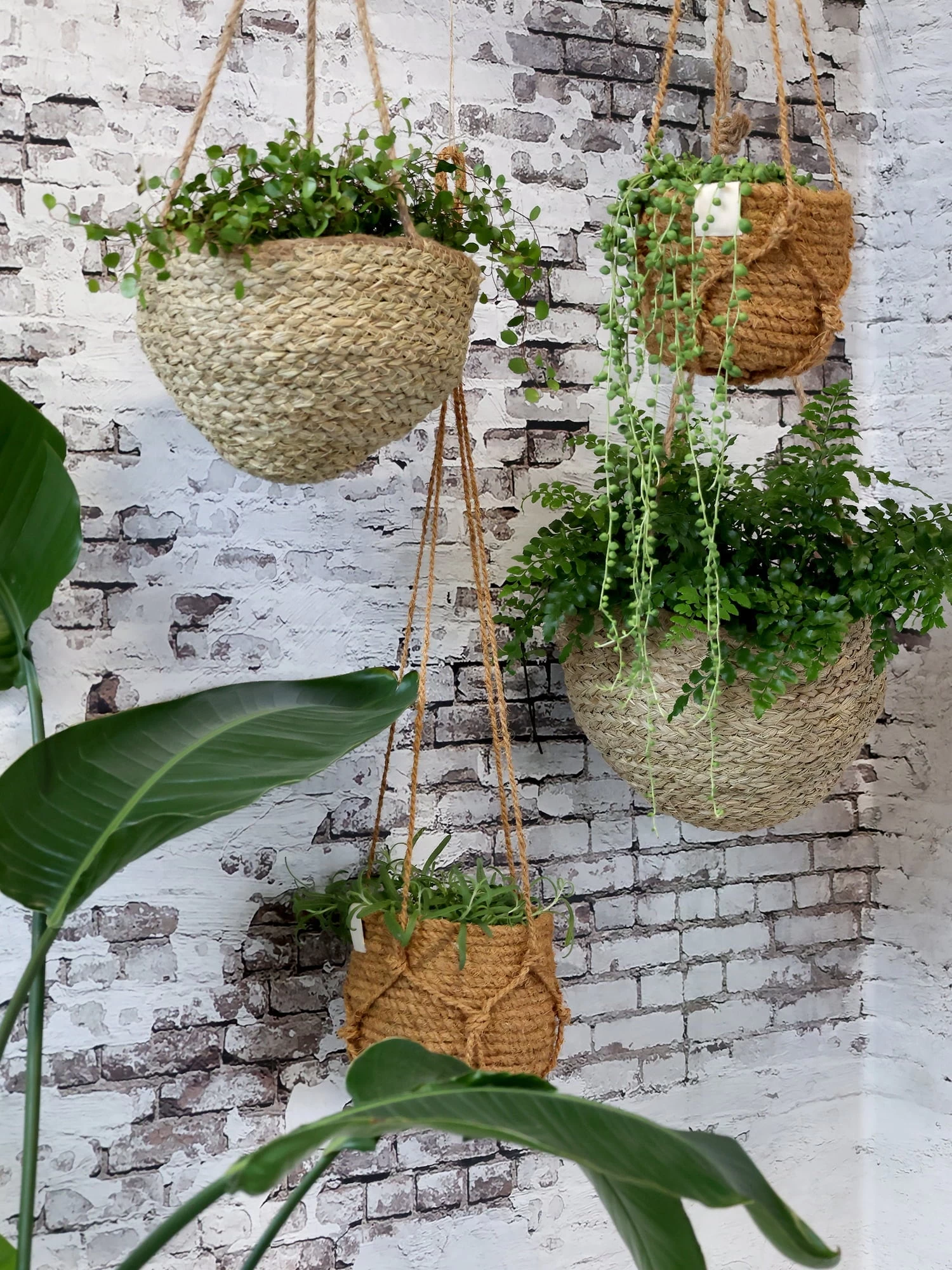 Blumenampel Korb Natur, H14/D18 Cm – Bild 6