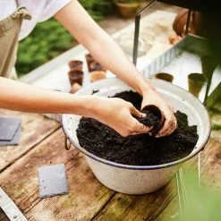 Compo BIO Anzucht- Und Kräuter-Erde Torffrei, 20 Liter