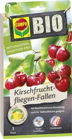 Compo BIO Kirschfruchtfliegen-Fallen, 3 Stück