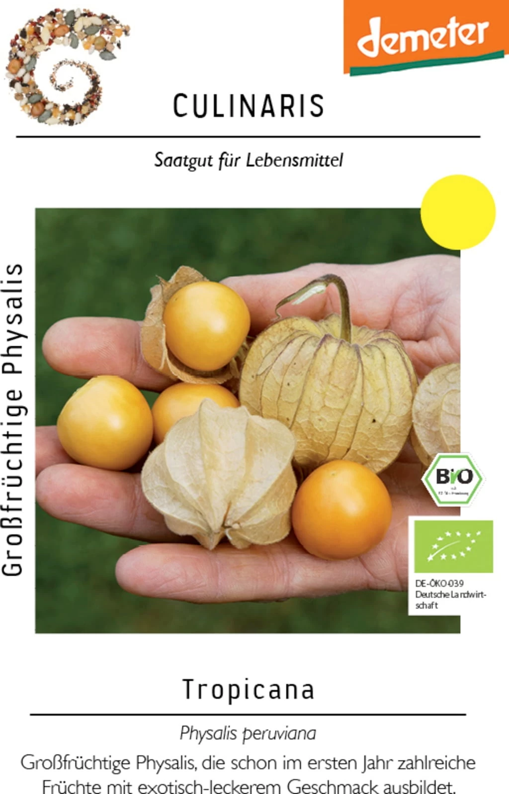 Bio Großfrüchtige Physalis Tropicana – Bild 2