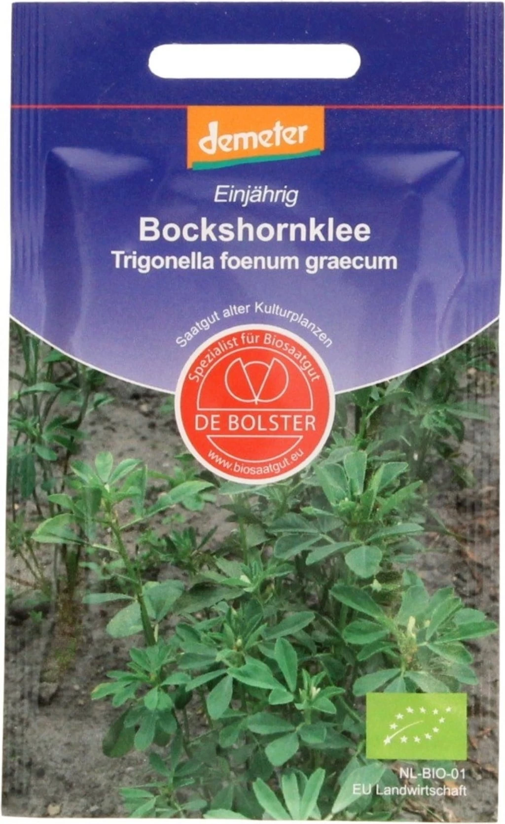 Bockshornsklee, 3 G – Bild 2