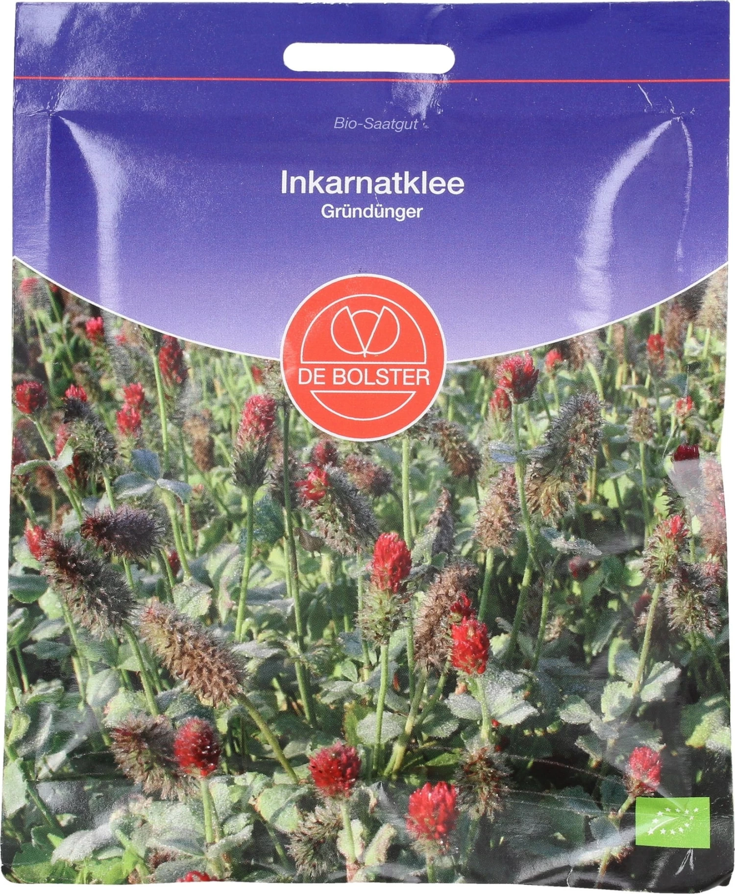 Gründünger Inkarnatklee, 75 G – Bild 3