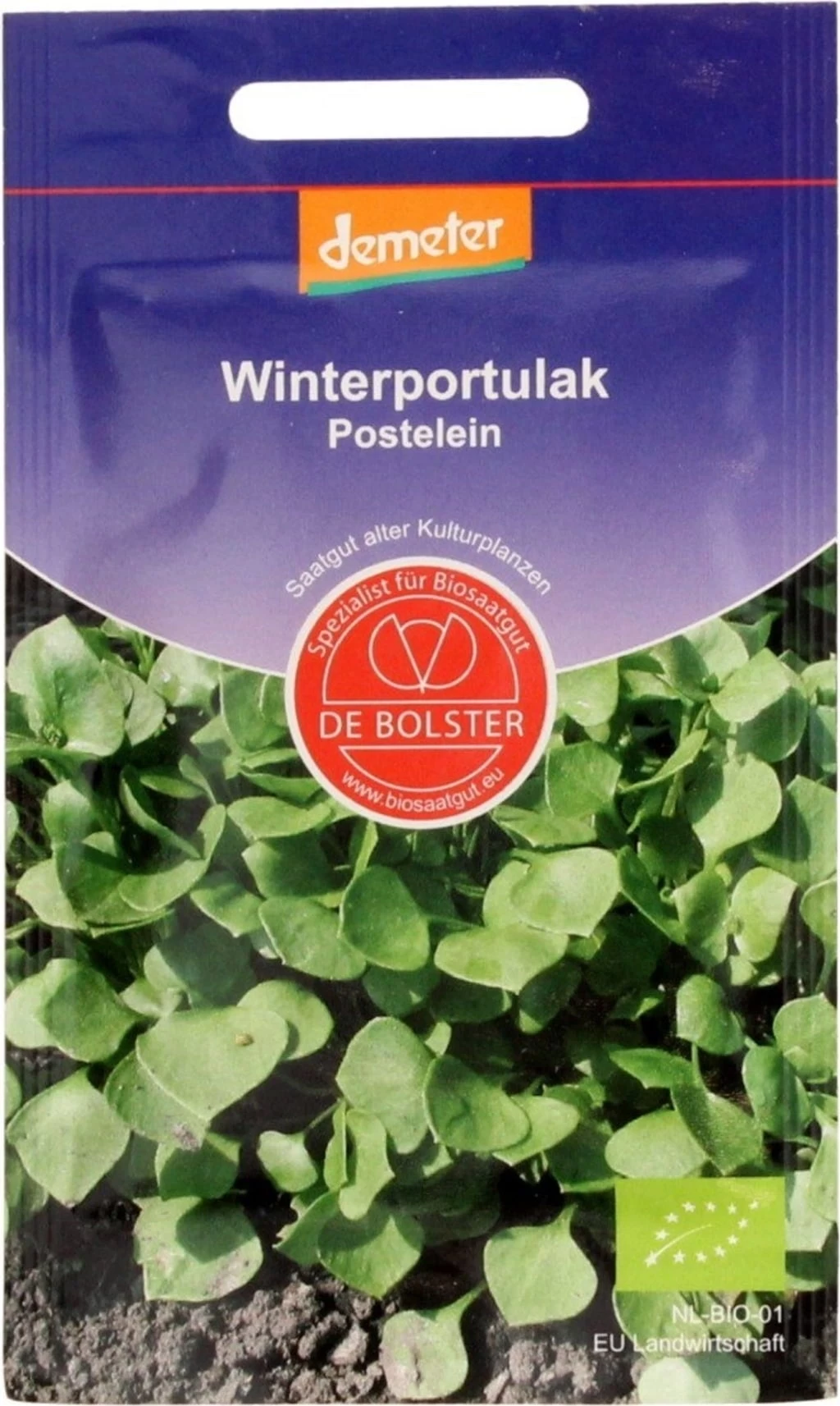 Winterportulak, 5 G â Bild 2