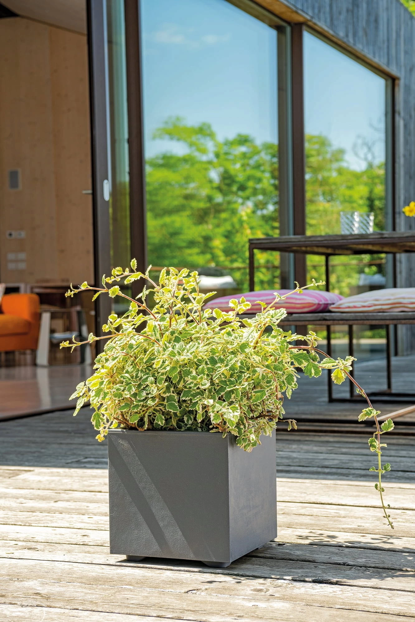 Pflanztopf "Quadro Millenium" Mit Wasserreservoir - Anthrazit, 39 Cm â Bild 3