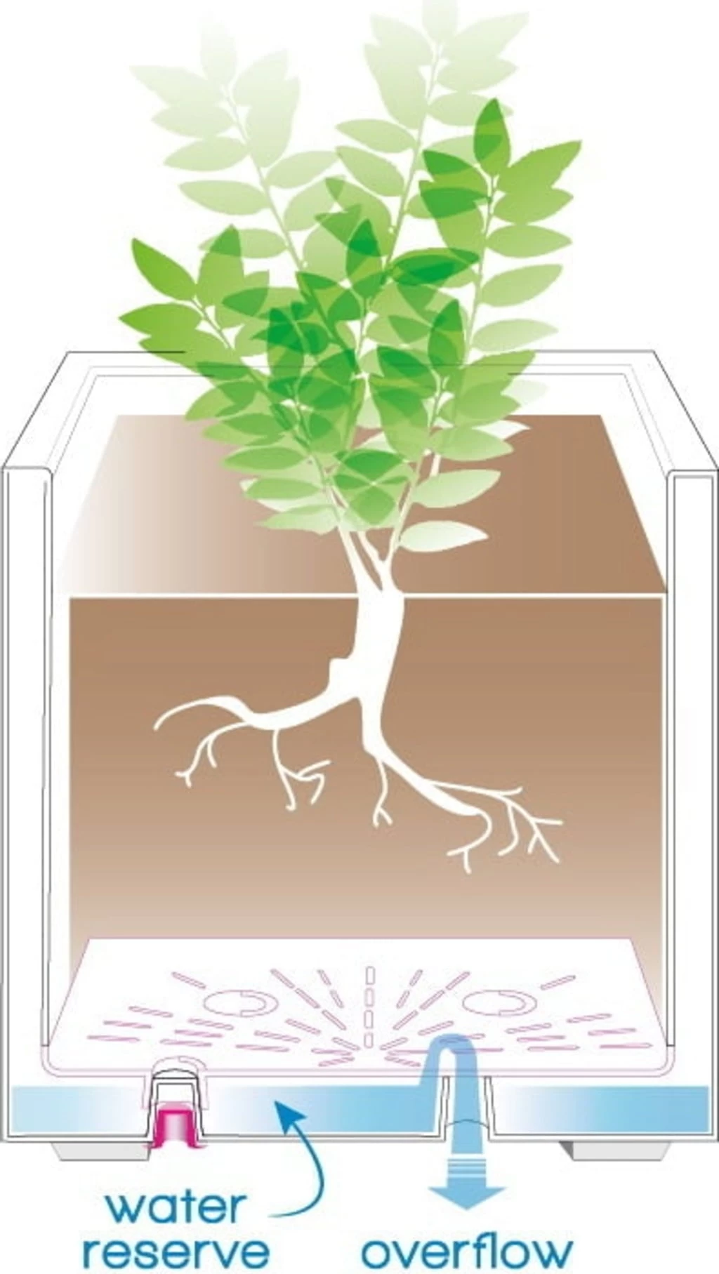 Pflanztopf "Quadro Millenium" Mit Wasserreservoir - Anthrazit, 39 Cm â Bild 4