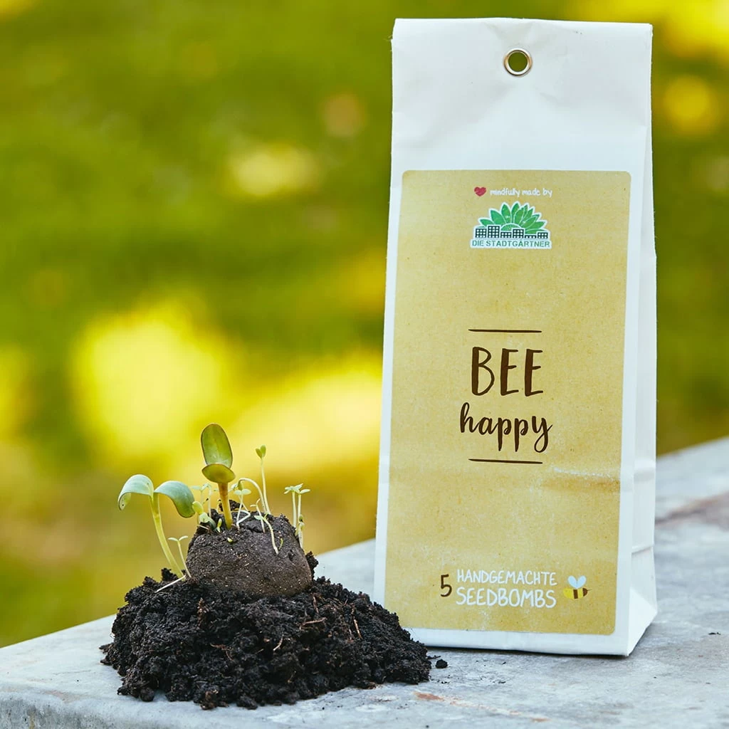 Samenbomben "Bee Happy"