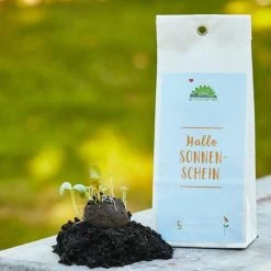 Samenbomben "Hallo Sonnenschein"