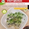 BIO-Keimsprossen Basilikum