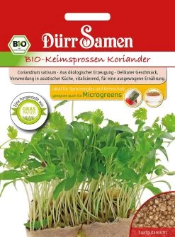 BIO-Keimsprossen Koriander