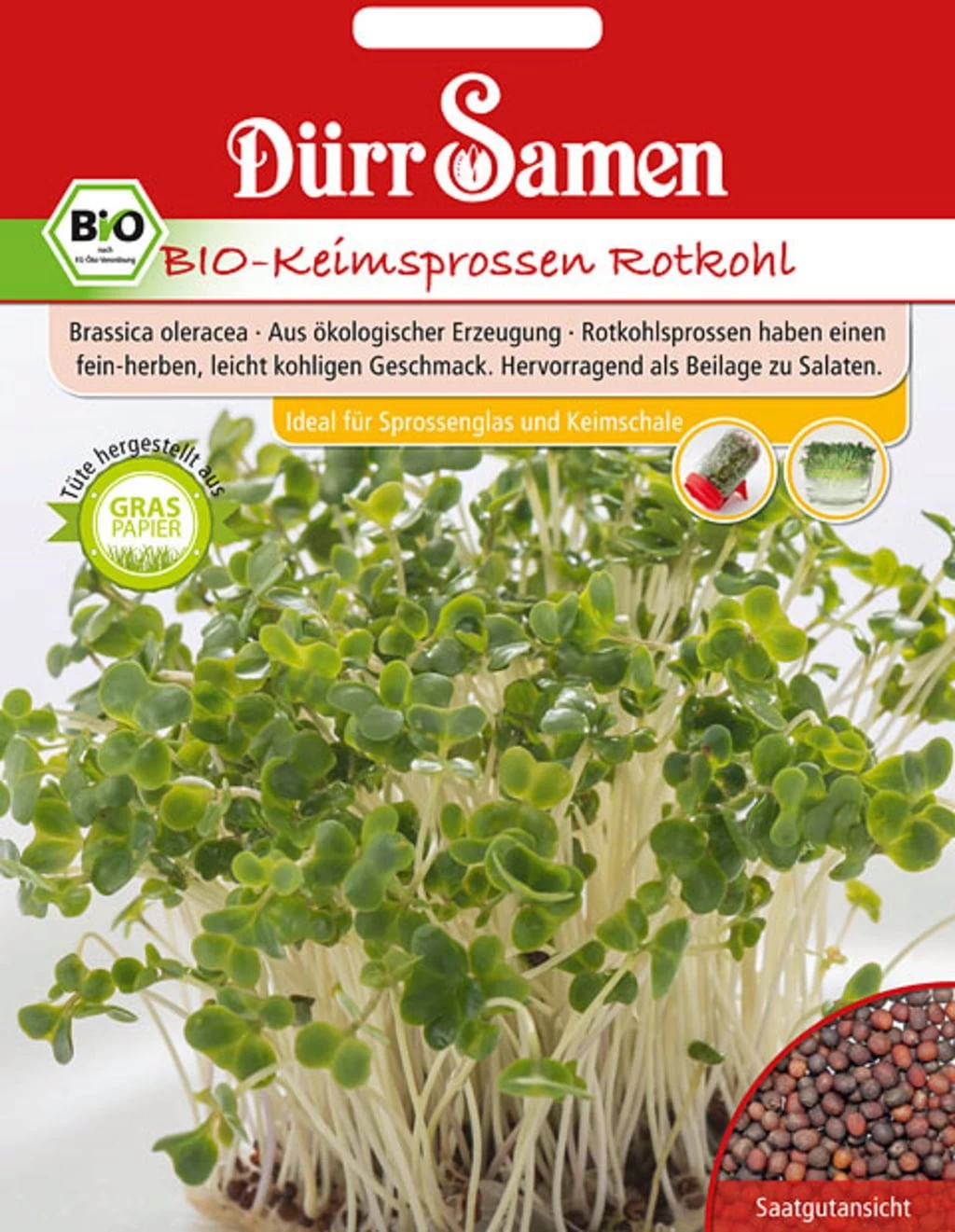 BIO-Keimsprossen Rotkohl