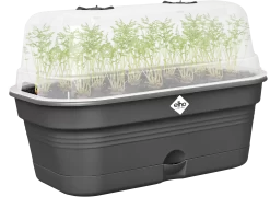 Elho Anzuchtschalen-Set Green Basics Allin1 - L, Living Schwarz