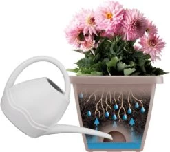 Elho Barcelona Allin1 50 Cm, Anthrazit