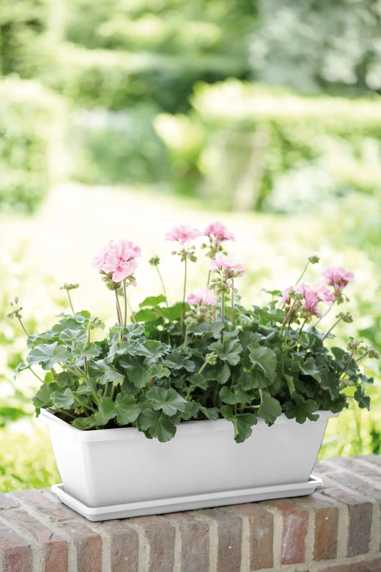 Elho Barcelona Balkonkasten 40 Cm, Weiss – Bild 3