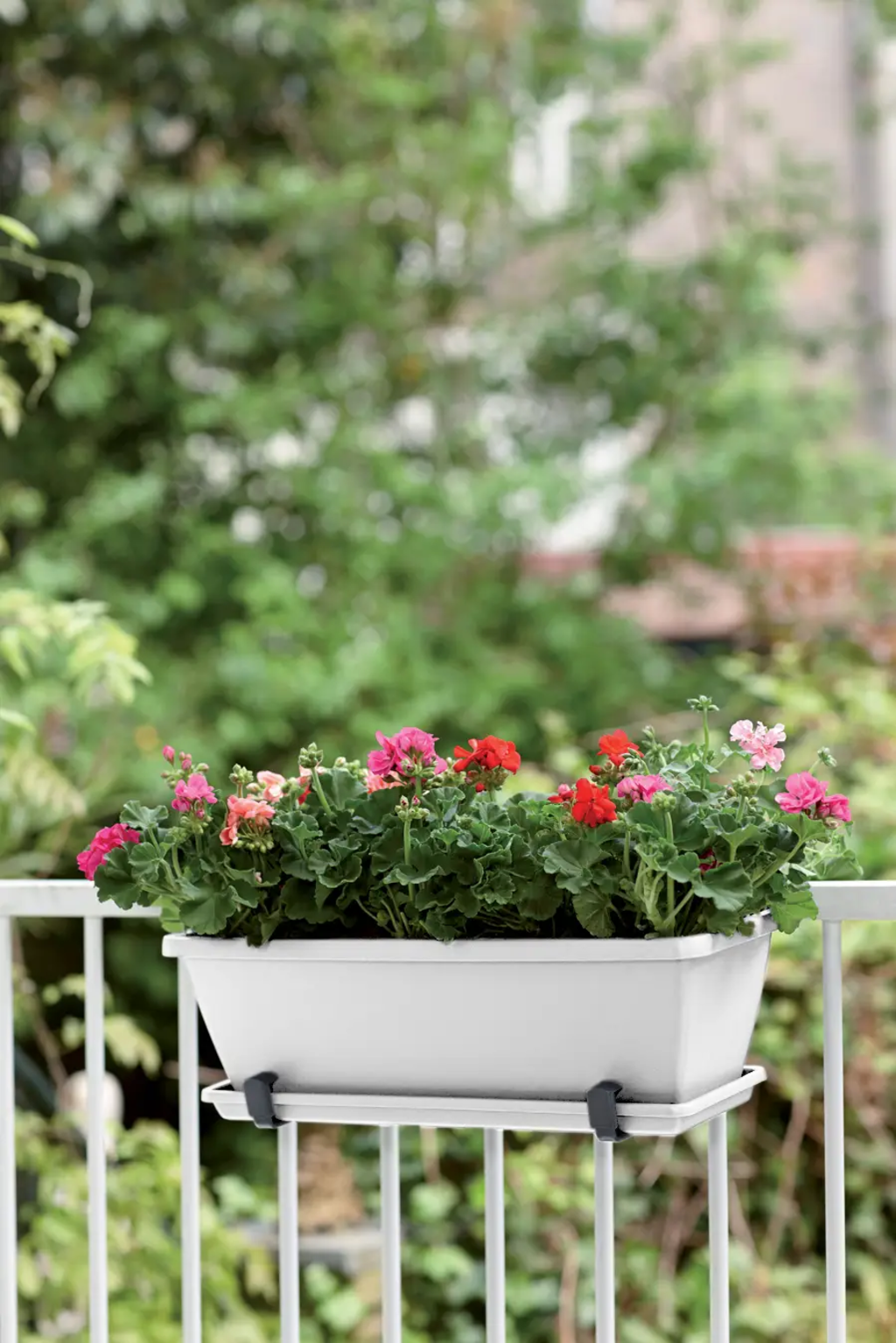 Elho Barcelona Balkonkasten 40 Cm, Weiss – Bild 6