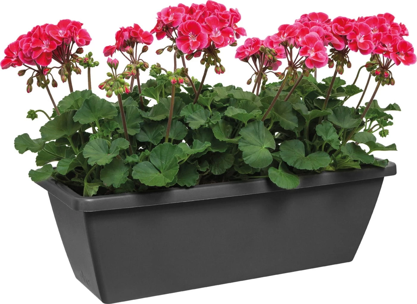 Elho Barcelona Balkonkasten 90 Cm, Anthrazit â Bild 6