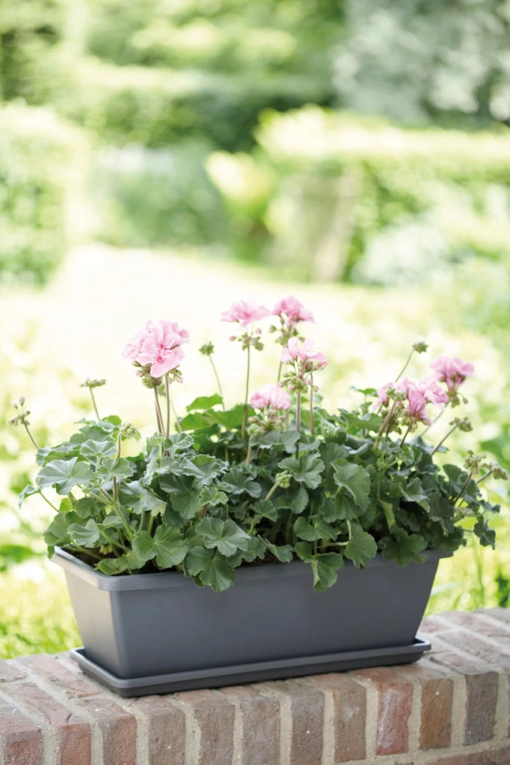 Elho Barcelona Balkonkasten 90 Cm, Anthrazit â Bild 2