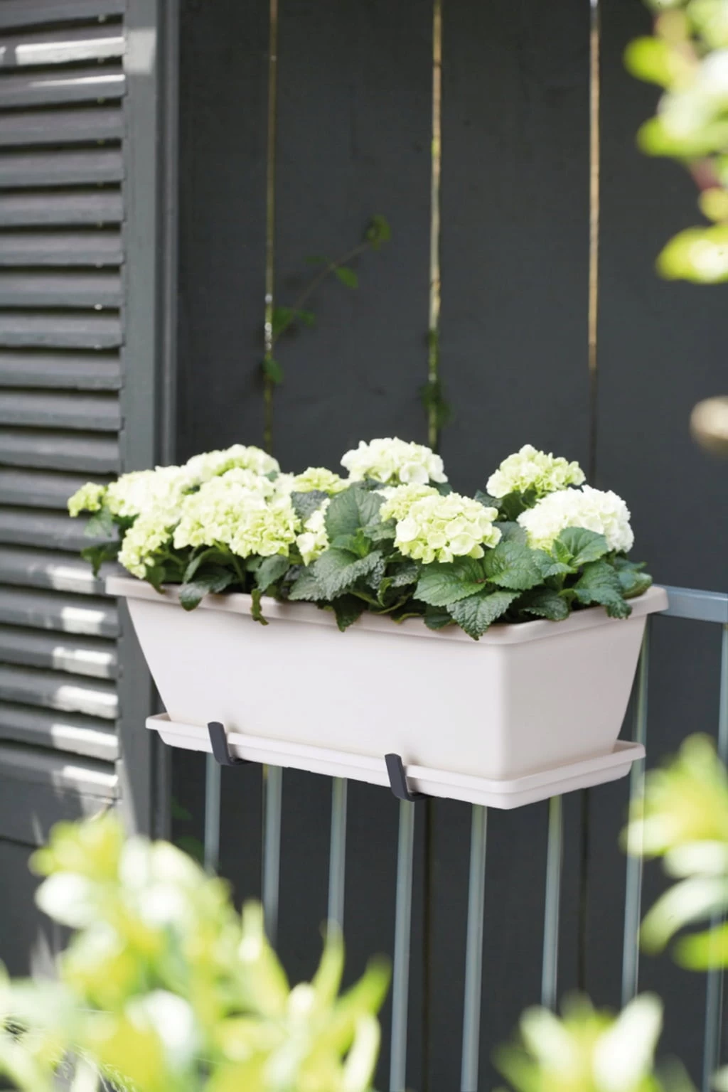 Elho Barcelona Balkonkasten Untersetzer 40 Cm, Weiss â Bild 2