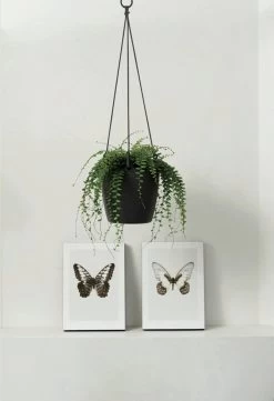 Elho Brussels Hängeampel "18cm", Anthrazit